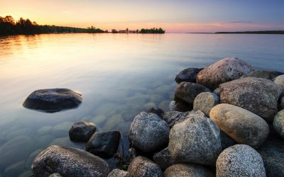 A Year of Self-Reflection